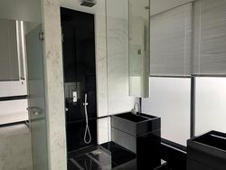 The Trizon (D10), Condominium #498327711